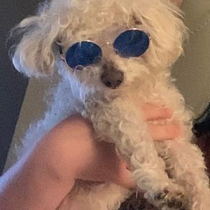 Meet your Posher, Eva